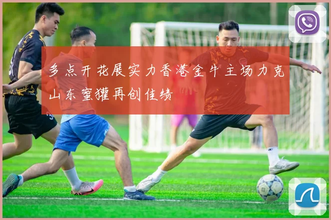 多点开花展实力香港金牛主场力克山东蜜獾再创佳绩